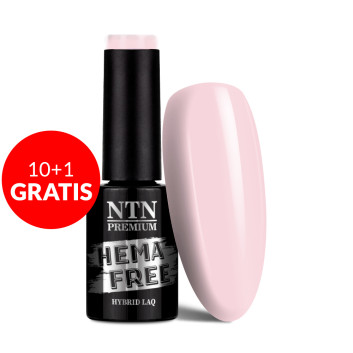 10+1gratis Lakier hybrydowy Ntn Premium Birthday Party Collection HEMA/Di-HEMA Free 5g Nr 46