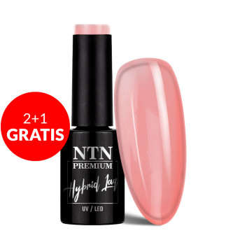 2+1gratis Lakier hybrydowy Ntn Premium Viral colors 5g Nr 291