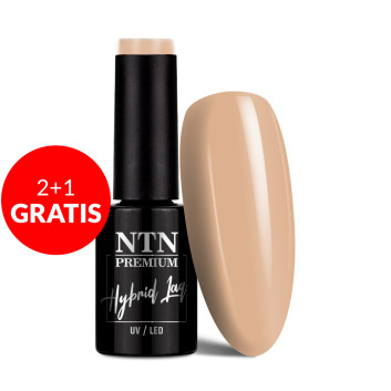 2+1gratis Lakier hybrydowy NTN Premium Day Dreaming Collection 5g Nr 62