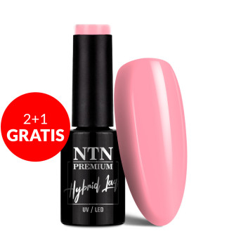 2+1gratis Lakier hybrydowy NTN Premium Birthday Party Collection 5g Nr 50