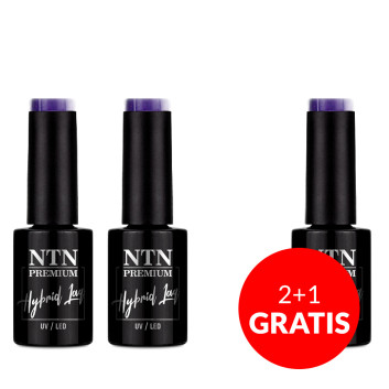 2+1gratis Lakier hybrydowy Ntn Premium Seductive Collection 5g Nr 128