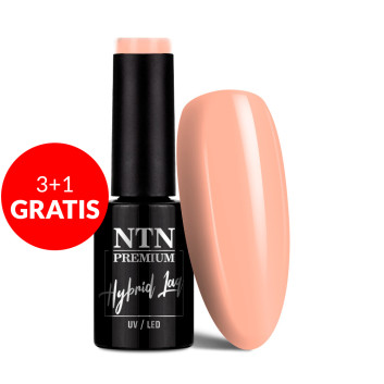 3+1gratis Lakier hybrydowy NTN Premium Day Dreaming Collection 5g Nr 59