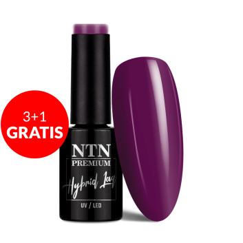 3+1gratis Lakier hybrydowy NTN Premium After Midnight Collection 5G NR 64