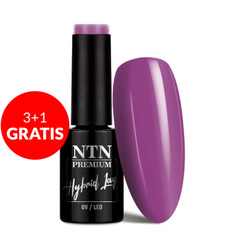 3+1gratis Lakier hybrydowy Ntn Premium Impression 5g Nr 253