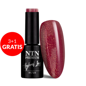 3+1gratis Lakier hybrydowy Ntn Premium Romantica Collection 5g Nr 102