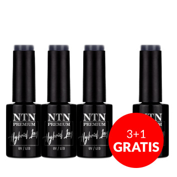 3+1gratis Lakier hybrydowy Ntn Premium Show Collection 5g Nr 116