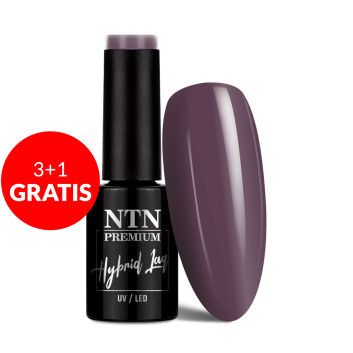 3+1gratis Lakier hybrydowy Ntn Premium Seductive Collection 5g Nr 134