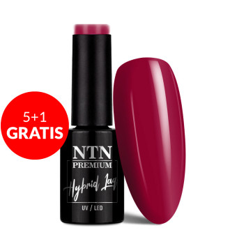 5+1gratis Lakier hybrydowy NTN Premium Passion for Love Collection 5g Nr 204