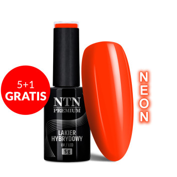 5+1gratis Lakier hybrydowy Ntn Premium California Collection Neon 5g Nr 142