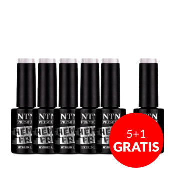 5+1gratis Lakier hybrydowy NTN Premium Day Dreaming Collection HEMA/Di-HEMA Free 5G NR 56