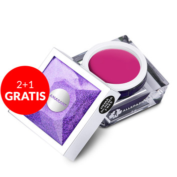 2+1gratis Żel do zdobień Artistic Gel paint gel ombre ornamenty Allepaznokcie Art Amarant HEMA /Di-HEMA free 5g Nr 6