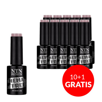 10+1gratis Lakier hybrydowy NTN Premium Uptown Girl Collection HEMA/Di-HEMA Free 5g Nr 24