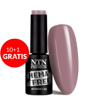 10+1gratis Lakier hybrydowy NTN Premium Uptown Girl Collection HEMA/Di-HEMA Free 5g Nr 24