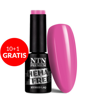 10+1gratis Lakier hybrydowy Ntn Premium California Collection HEMA/Di-HEMA Free 5g Nr 140