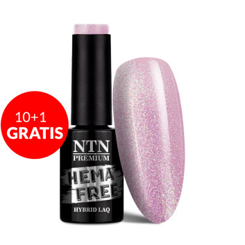 10+1gratis Lakier hybrydowy Ntn Premium Delight Sorbet Collection HEMA/Di-HEMA Free 5g Nr 149