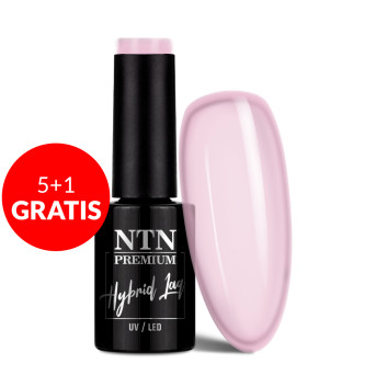 5+1gratis Lakier hybrydowy Ntn Premium Ambrosia Collection 5g Nr 160