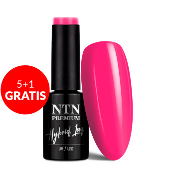 5+1gratis Lakier hybrydowy NTN Premium Garden Party Collection 5g Nr 174