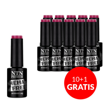 10+1gratis Lakier hybrydowy Ntn Premium Passion for Love Collection HEMA/Di-HEMA Free 5g Nr 203