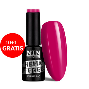 10+1gratis Lakier hybrydowy Ntn Premium Celebration Collection HEMA/Di-HEMA Free 5g Nr 171