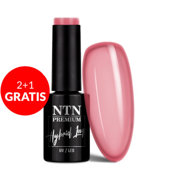 2+1gratis Lakier hybrydowy Ntn Premium Romantica Collection 5g Nr 108