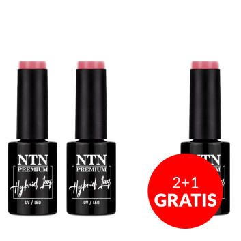 2+1gratis Lakier hybrydowy Ntn Premium Romantica Collection 5g Nr 108