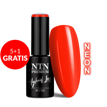 5+1gratis Lakier hybrydowy Ntn Premium Delight Sorbet Collection Neon 5g Nr 153