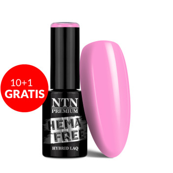 10+1gratis Lakier hybrydowy Ntn Premium Splash Collection HEMA/Di-HEMA Free 5g Nr 124