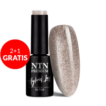 2+1gratis Lakier hybrydowy Ntn Premium Drama Queen 5g Nr 209