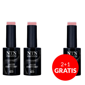 2+1gratis Lakier hybrydowy Ntn Premium Drama Queen 5g Nr 211