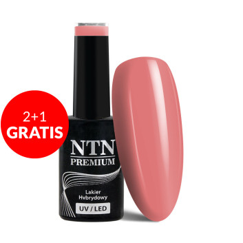 2+1gratis Lakier hybrydowy Ntn Premium Drama Queen 5g Nr 211