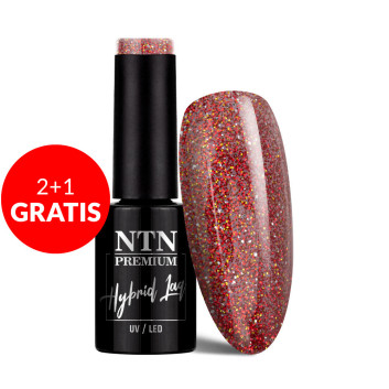 2+1gratis Lakier hybrydowy Ntn Premium Oriental Delice 5g Nr 270