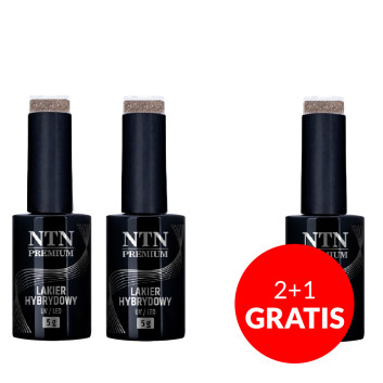 2+1gratis Lakier hybrydowy Ntn Premium Fiesta Collection 5G NR 81