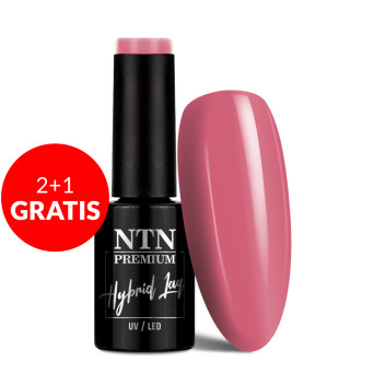 2+1gratis Lakier hybrydowy NTN Premium Uptown Girl Collection 5g Nr 23