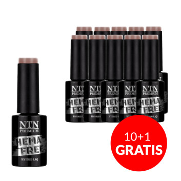 10+1gratis Lakier hybrydowy Ntn Premium Passion for Love Collection HEMA/Di-HEMA Free 5g Nr 200