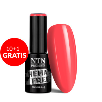 10+1gratis Lakier hybrydowy Ntn Premium Dessert Collection HEMA/Di-HEMA Free 5 g Nr 91