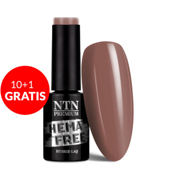 10+1gratis Lakier hybrydowy Ntn Premium Passion for Love Collection HEMA/Di-HEMA Free 5g Nr 200