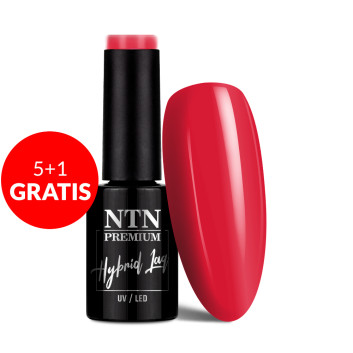 5+1gratis Lakier hybrydowy Ntn Premium Splash Collection 5g Nr 126