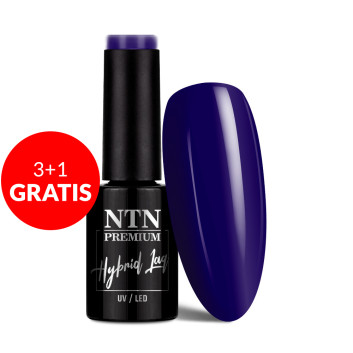 3+1gratis Lakier hybrydowy NTN Premium After Midnight Collection 5G NR 69