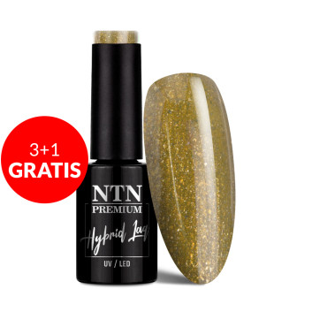 3+1gratis Lakier hybrydowy Ntn Premium Celebration Collection 5g Nr 170