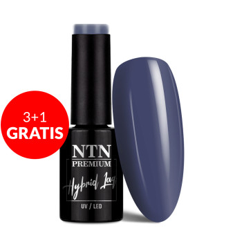 3+1gratis Lakier hybrydowy Ntn Premium Dessert Collection 5g Nr 99