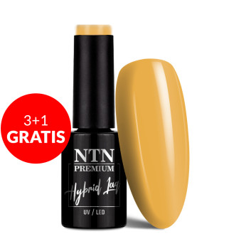 3+1gratis Lakier hybrydowy Ntn Premium Seductive Collection 5g Nr 129