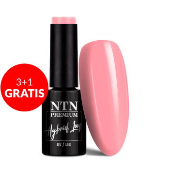 3+1gratis Lakier hybrydowy Ntn Premium California Collection 5g Nr 141