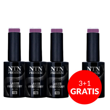 3+1gratis Lakier hybrydowy Ntn Premium Multicolor Collection 5g Nr 87