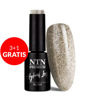 3+1gratis Lakier hybrydowy Ntn Premium Celebration Collection 5g Nr 169