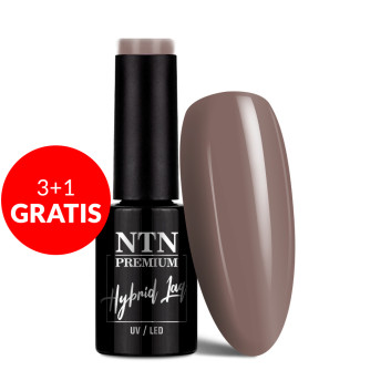 3+1gratis Lakier hybrydowy Ntn Premium Show Collection 5g Nr 111