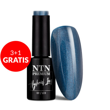 3+1gratis Lakier hybrydowy Ntn Premium Romantica Collection 5g Nr 100