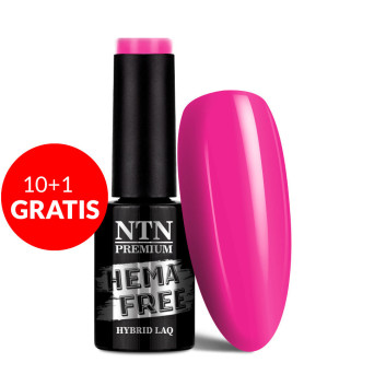 10+1gratis Lakier hybrydowy Ntn Premium Multicolor Collection HEMA/Di-HEMA Free 5g Nr 85