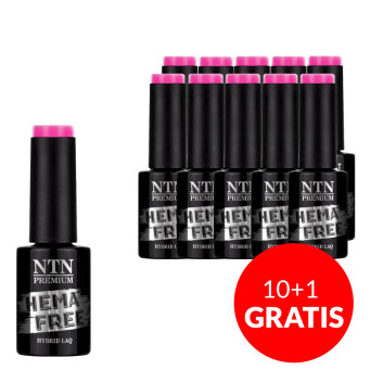 10+1gratis Lakier hybrydowy Ntn Premium Multicolor Collection HEMA/Di-HEMA Free 5g Nr 85