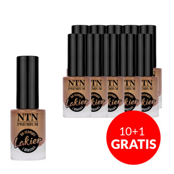 10+1gratis Lakier do stempli i blaszek NTN Premium Rose Gold 7ml Nr 101