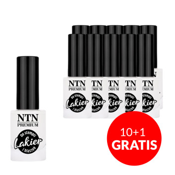 10+1gratis Lakier do stempli i blaszek NTN Premium biały 7ml Nr 58